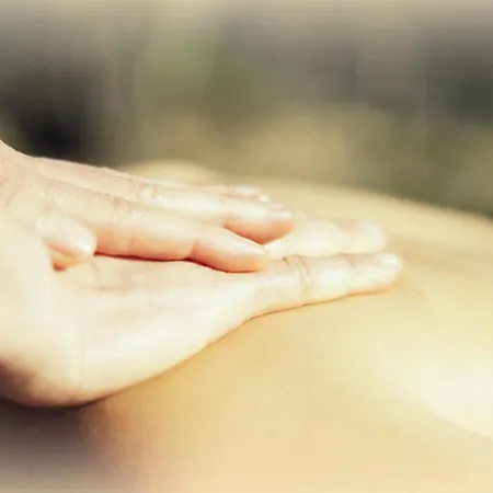 Le Mazet D'aurore *